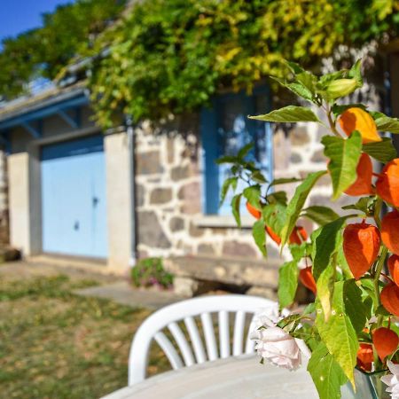 Beautiful Villa In The Parc Des Volcans D Auvergne Vic-sur-Cère المظهر الخارجي الصورة