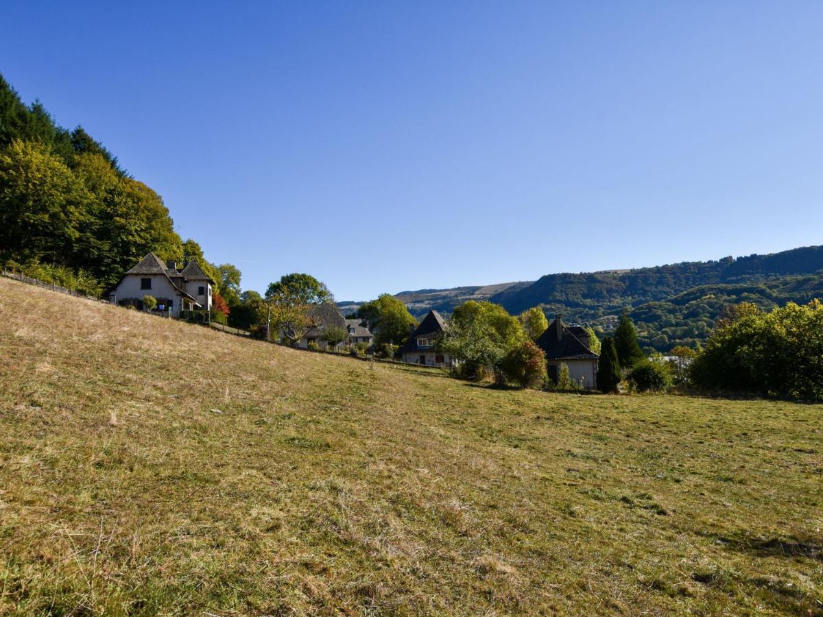 Beautiful Villa In The Parc Des Volcans D Auvergne Vic-sur-Cère المظهر الخارجي الصورة
