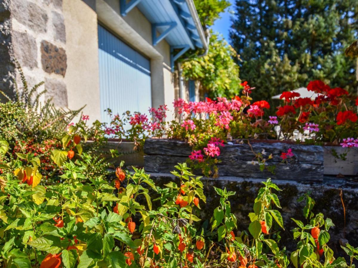 Beautiful Villa In The Parc Des Volcans D Auvergne Vic-sur-Cère المظهر الخارجي الصورة